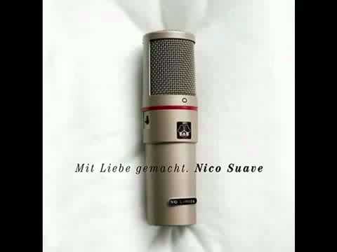 Nico Suave "Ich Wäre So Gern" Feat.Blumentopf with lyrics