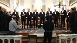 | LIVE | - Ave maris stella - direttore: Lorenzo Zonca - flauto: Daniele Pasini
