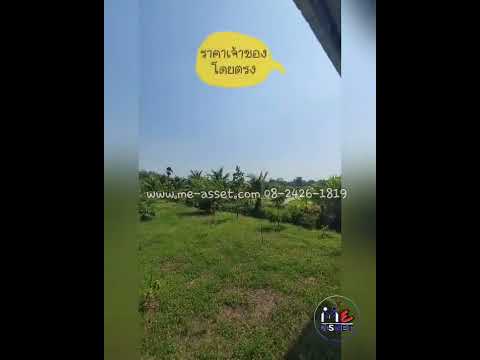 🔥HOT PRICE🔥 ขายที่ดินเปล่าโซนวัดละมุด ห้วยพลู เชื่อมบางพระ ดอนแฝก 🌳ใกล้บ้านปันสุขรีสอร์ทนครชัยศรี สี่แยกวัดละมุด วัดกลางบางพระ รพ.ห้วยพลู : 3-1-77.7 ไร่ (NN-91008) – รูปที่ 2