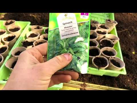 Keith harkin Quarantine Gardening... Plantin' ma' seeds!