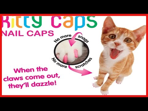 Kitty Caps Nail Caps for Cats - Spring Green