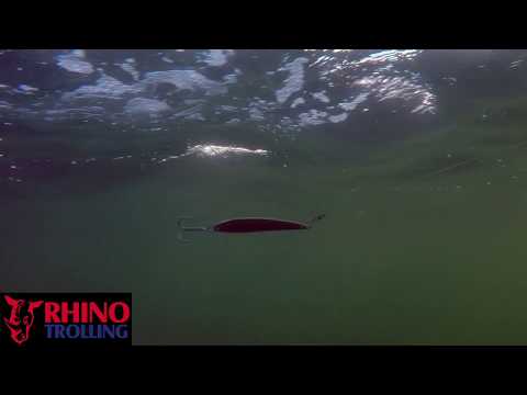 The SALMON DOCTOR - Rhino Trolling