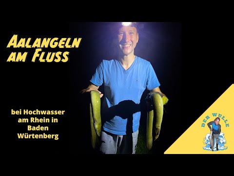 Aal Angeln am Fluss