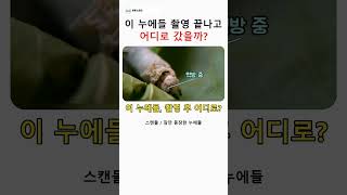 Download lagu The unexpected fate of the silkworms from the scandal shoot lol mp3
