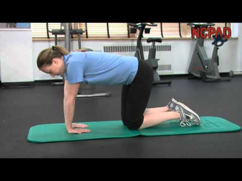 Kneeling Forearm Stretch