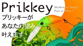 [Area Trout] Pricky will fulfill your wishes Pricky PV / SHINICHI TAKIZAWA