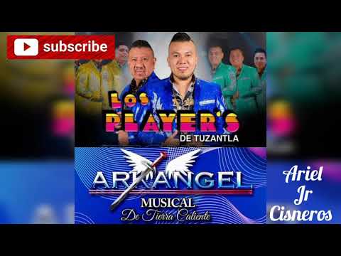 Guachita Hermosa - Los Players De Tuzantla Ft Arkangel Musical (En Vivo)
