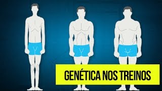 Biotipo nos treinos e na dieta (Ectomorfo, Mesomorfo e Endomorfo)