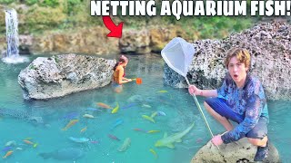 Netting MYSTERY Aquarium Fish in HIDDEN WATERFALL!