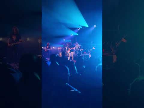 Pigeons Playing Ping Pong at town ballroom, Buffalo NY.