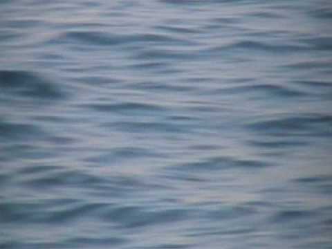 Sibenik, Prvic Luka na brodu