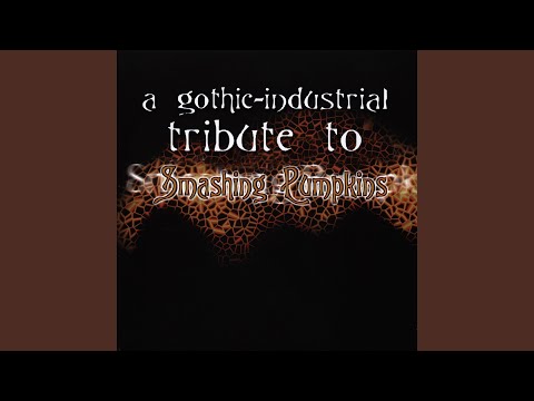 Video thumbnail for The End is the Beginning is the End