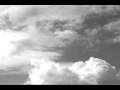 Under the Same Sky - Bruce Wilson