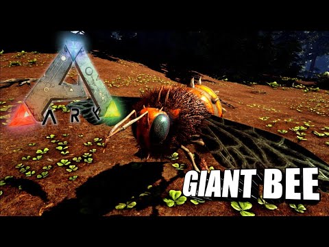 Taming A Giant Bee | Ark Survival Evolved | The Island