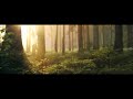 NEW Beautiful Quran Recitation Heart Soothing Voice