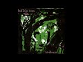 Buffalo Tom - Skeleton Key
