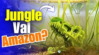6 Months Ago I Bought This Jungle Val from Amazon...