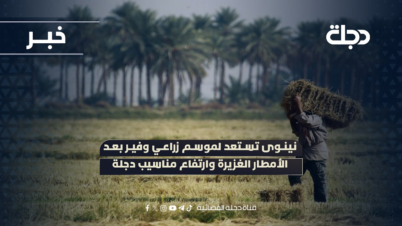 فيديو | نينوى تستعد لموسم زراعي وفير بعد الأمطار الغزيرة وارتفاع مناسيب دجلة