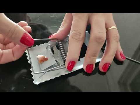 COMO ARMAR RATOEIRA - 5 DICAS SUPER FÁCIL