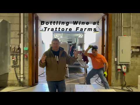 Tim Talks - Episode 13