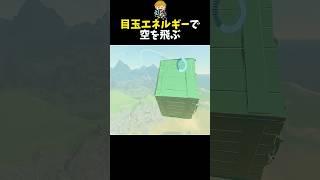 実用性皆無の目玉で飛ぶテクニック #shorts  #ゼルダの伝説ティアーズオブザキングダム #ティアキン