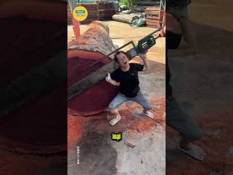 Bí Mật Về 3 Báu Vật Rừng Xanh Có Thể Giúp Bạn Đổi Đời!