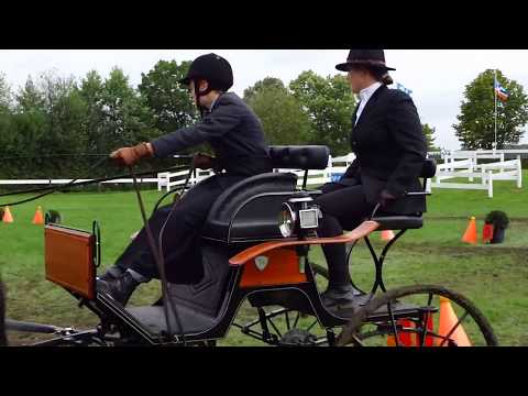 Fahrturnier Ostenfelde 19.8.2017