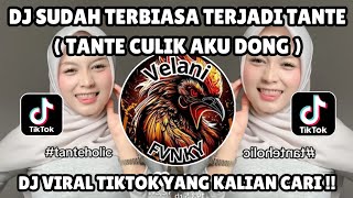 Download lagu DJ SUDAH TERBIASA TANTE REMIX | DJ TANTE CULIK AKU DONG TREND TANTE HOLIC VIRAL TIKTOK 2025 TERBARU mp3