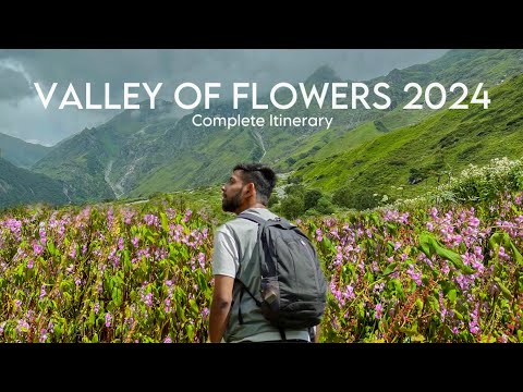 Valley of flowers 2024| How to reach?