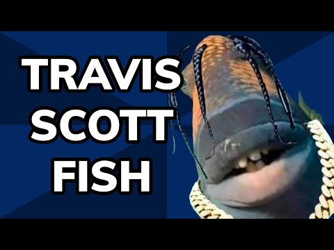 Meme History: Travis Scott Fish