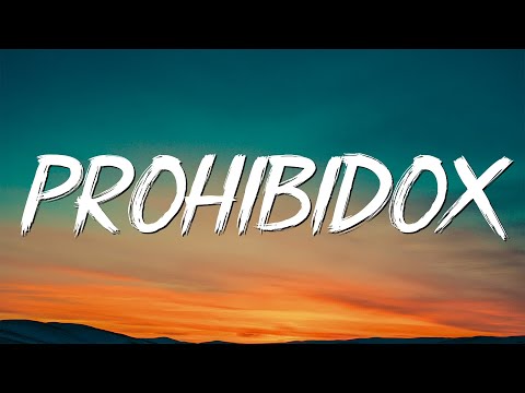 Feid - Prohibidox (Letra/Lyrics)