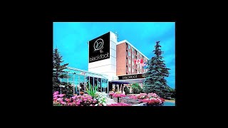 Best Hotels you MUST STAY in Calgary, Canada | 2019