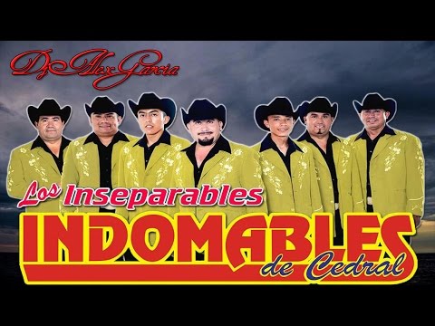 Los Indomables De Cedral Mix