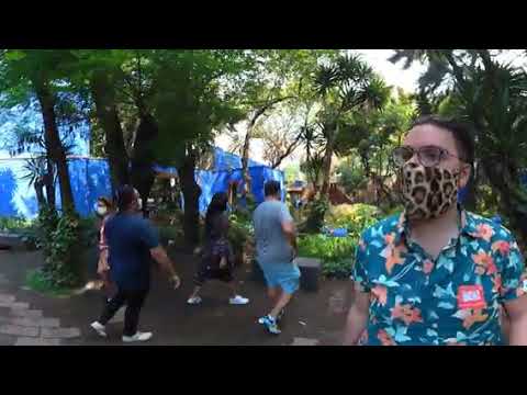 Virtual Tour of Frida Kahlo's Casa Azul Garden (360/VR)