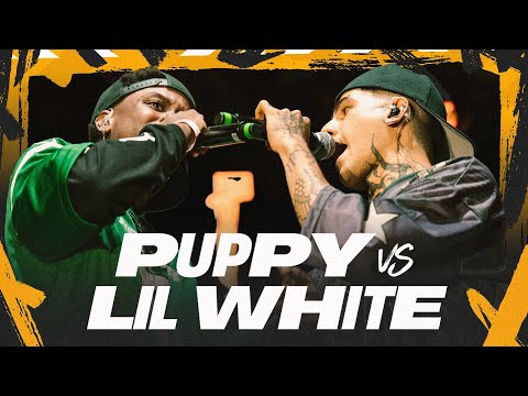 Urban Roosters and FMS Colombia