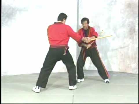 Modern Arnis 2 Professor Remy Presas
