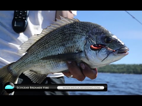 Цикады Ecogear Breamer Vibe