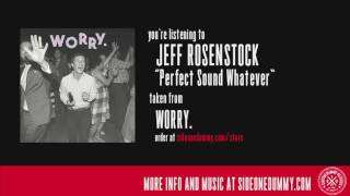 Jeff Rosenstock - Perfect Sound Whatever