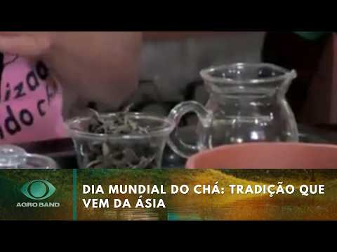 Dia Mundial do Chá: tradição que vem da Ásia