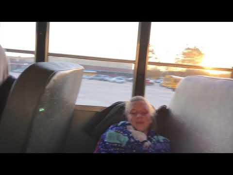 Willis Swimming