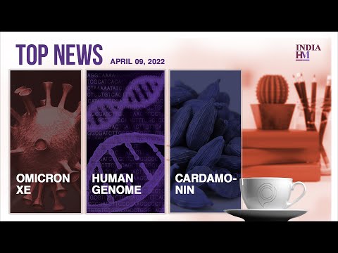 First Case of Omicron XE Variant Detected in India, and More