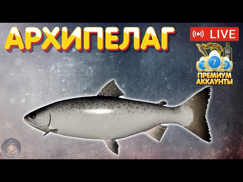 Фото 🎁 ПРЕМ в рулетке | Розыгрыши | Архипелаг | Турниры | Русская рыбалка 4 рр4 стрим #665