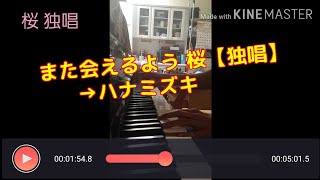 散りゆく～桜【独唱】～→バラバラになった幼なじみへ  ～ハナミズキ～弾いてみた