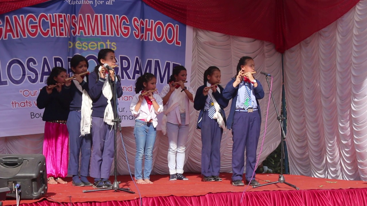 Musical Instrumental
