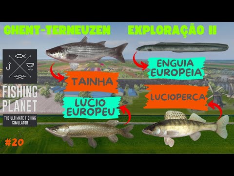 FISHING PLANET #20 | GHENT - TERNEUZEN - EXPLORAÇÃO II