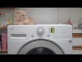 Grumpy Cat Isn T Afraid Of A Washing Machine