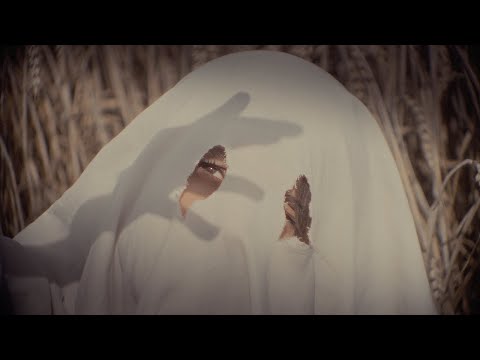 shi offline - Wheat Fields