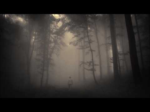 Vibeke Bruff ft. ZiaLand – In The Dark (Einsauszwei Remix)