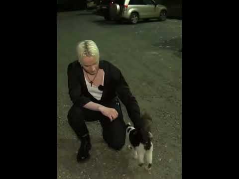 SHAMAN & cat 🐈 #shaman #шаман #音乐 #萨满