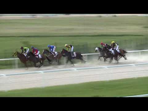 2020.07.26. 02. futam - NYERETLENEK VERSENYE (V.kat.) II..rész (szintetikus pálya)